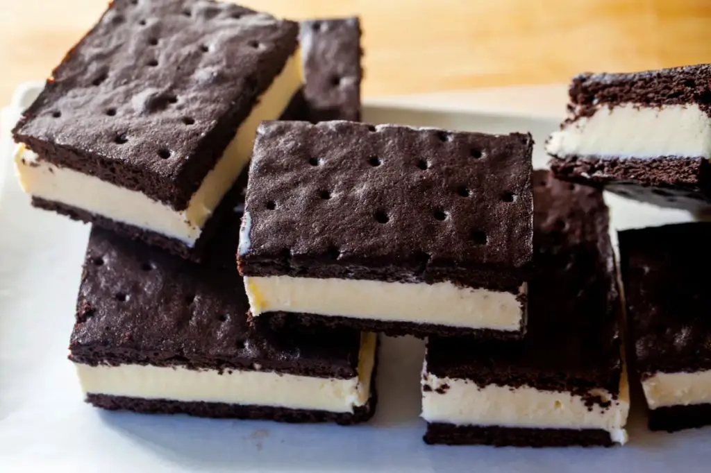 Double Chocolate Fudge Ice Cream Sandwich