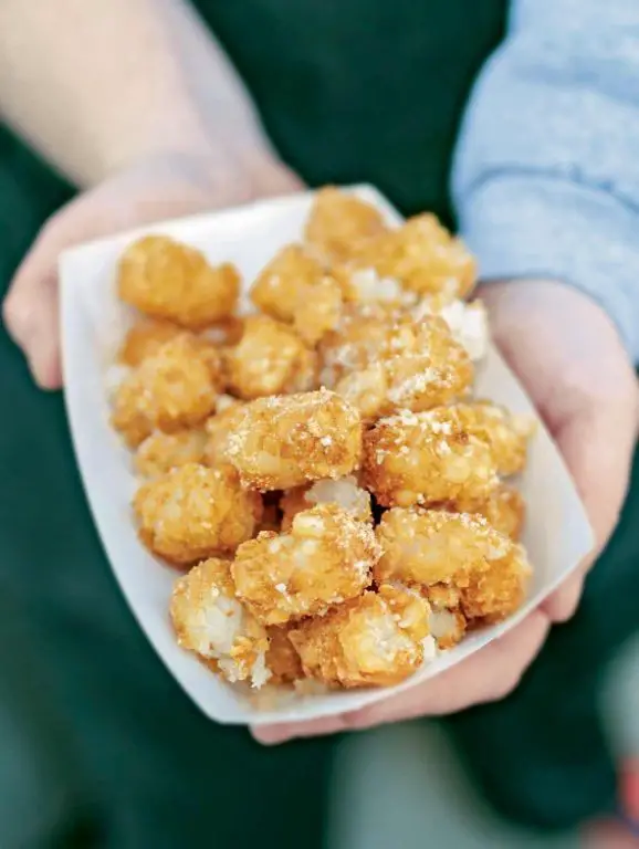 Garlic Parmesan Tater Tots