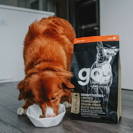 Gluten-free duck and potato recipe for dogs with grain allergies.