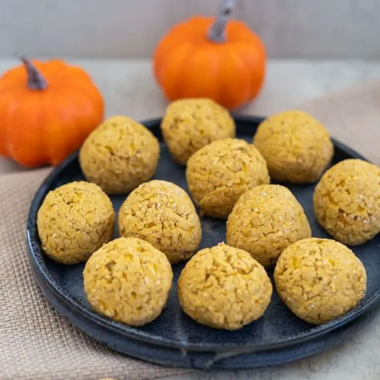 High-fiber pumpkin and oats recipe for dogs with constipation.