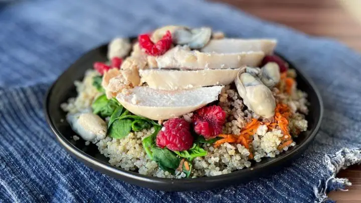 Hypoallergenic recipe: Turkey and quinoa for dogs with food sensitivities.