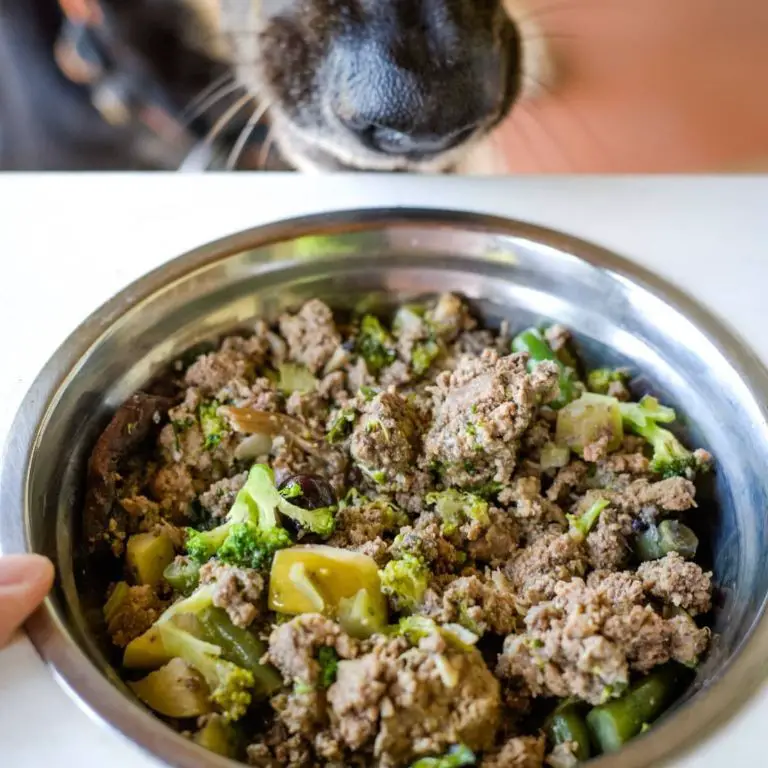 Low-carb turkey and spinach recipe for diabetic dogs.
