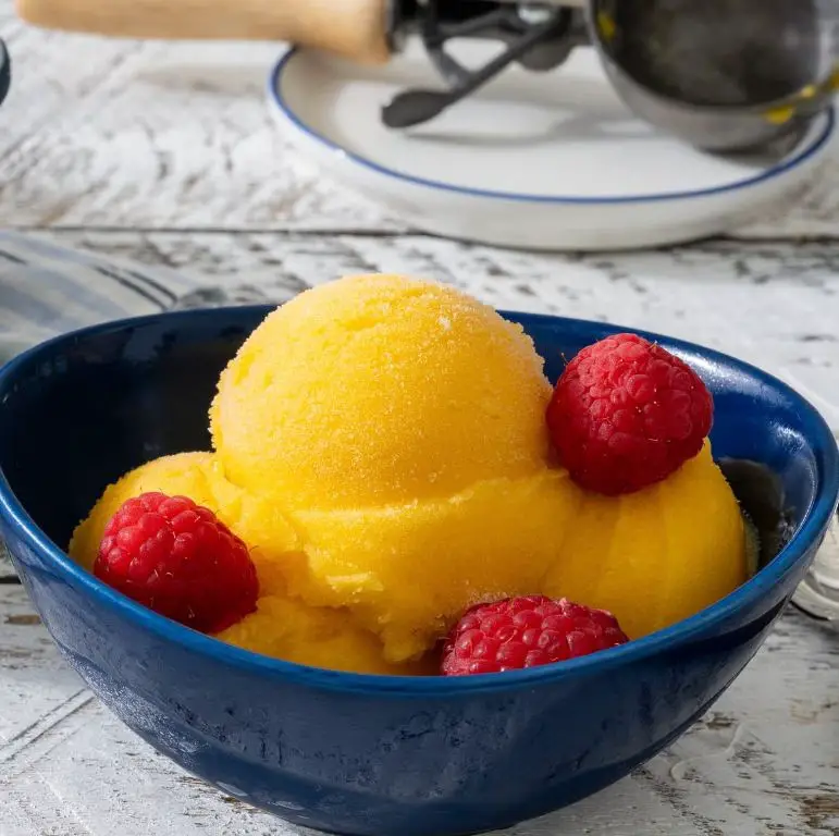 Mango Sorbet