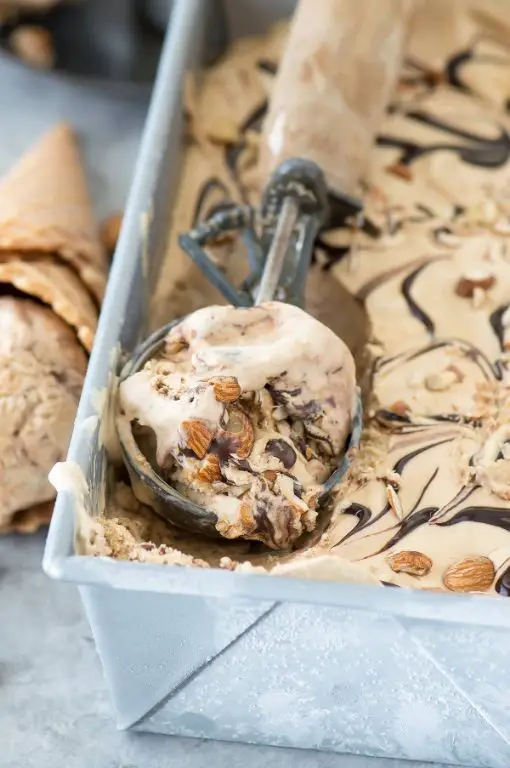 Mocha Almond Fudge Ice Cream