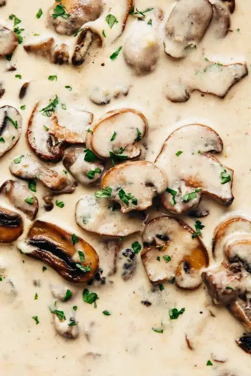 Parmesan Mushroom Sauce