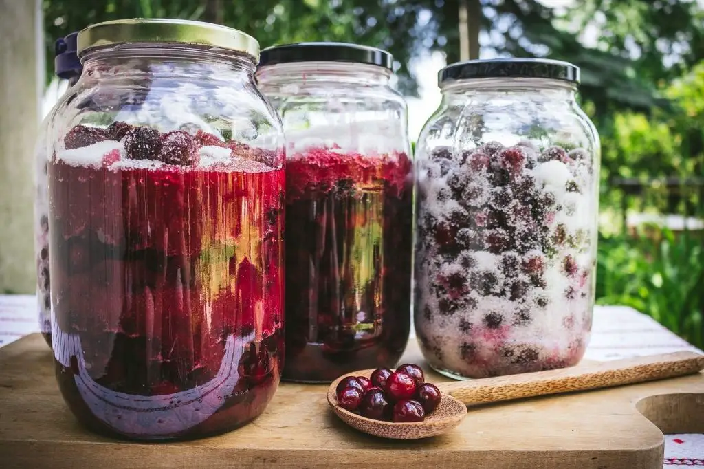 Rakija with Homemade Fruit Brandy