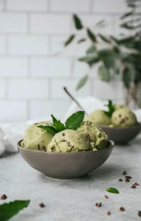 Raw Mint Chocolate Chip Ice Cream