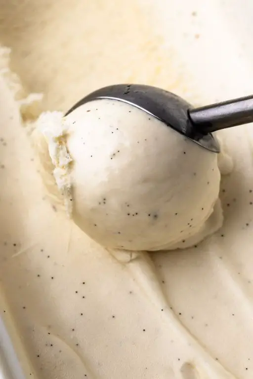Raw Vanilla Bean Ice Cream