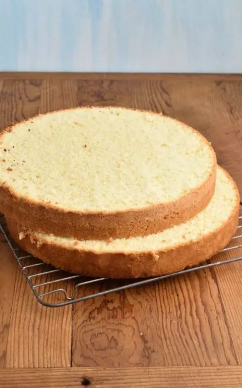 Simple Vanilla Sponge Cake