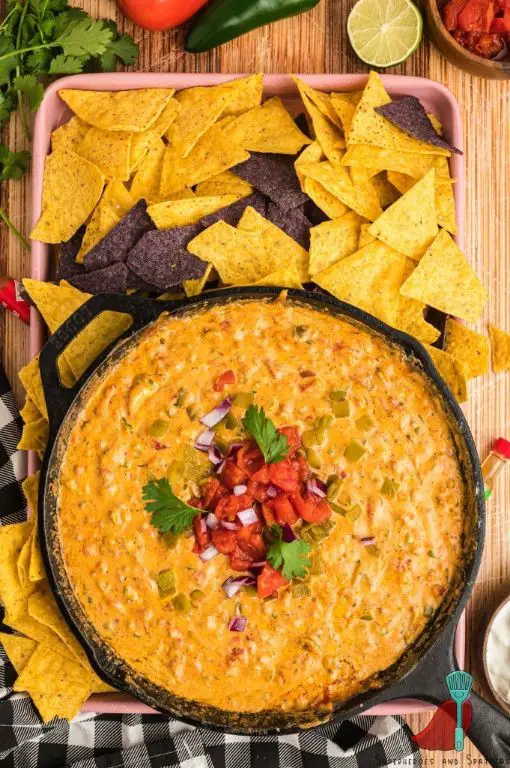 Smoked Queso with Crispy Tortilla Strips