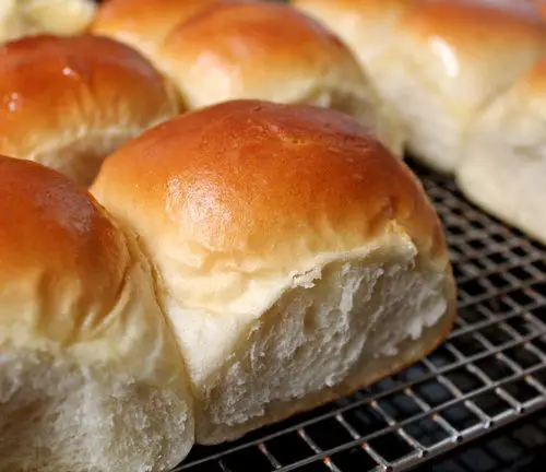 Soft Dinner Rolls