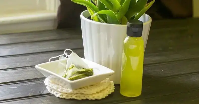 Aloe Vera and Green Tea Toner