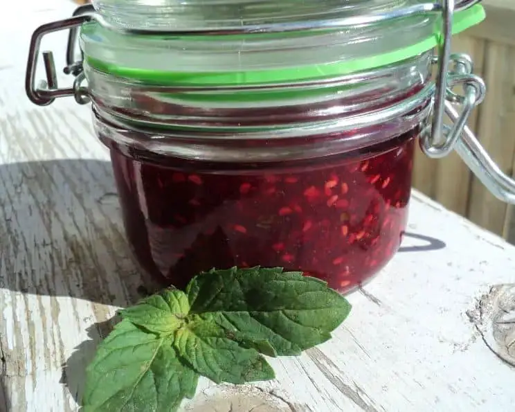 Apple and Raspberry Jam with Mint