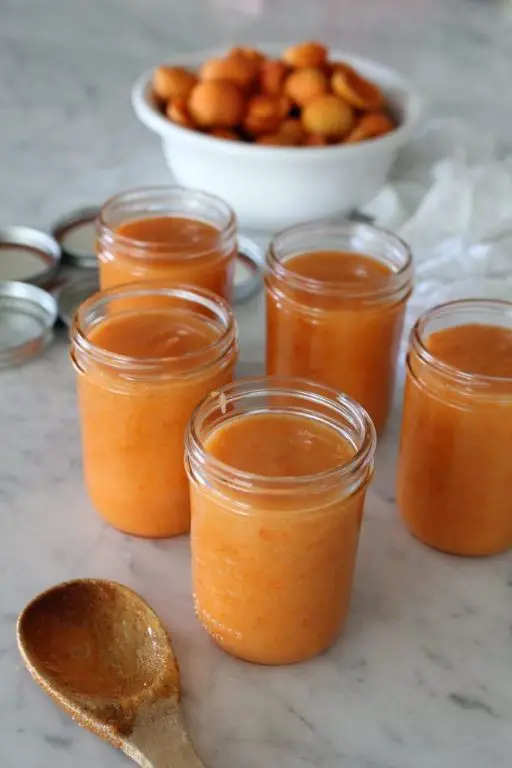 Apricot Pectin Preserves with Almonds