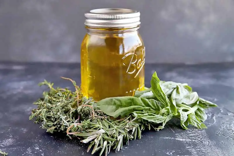 Basil and Thyme Infused Olive Oil
