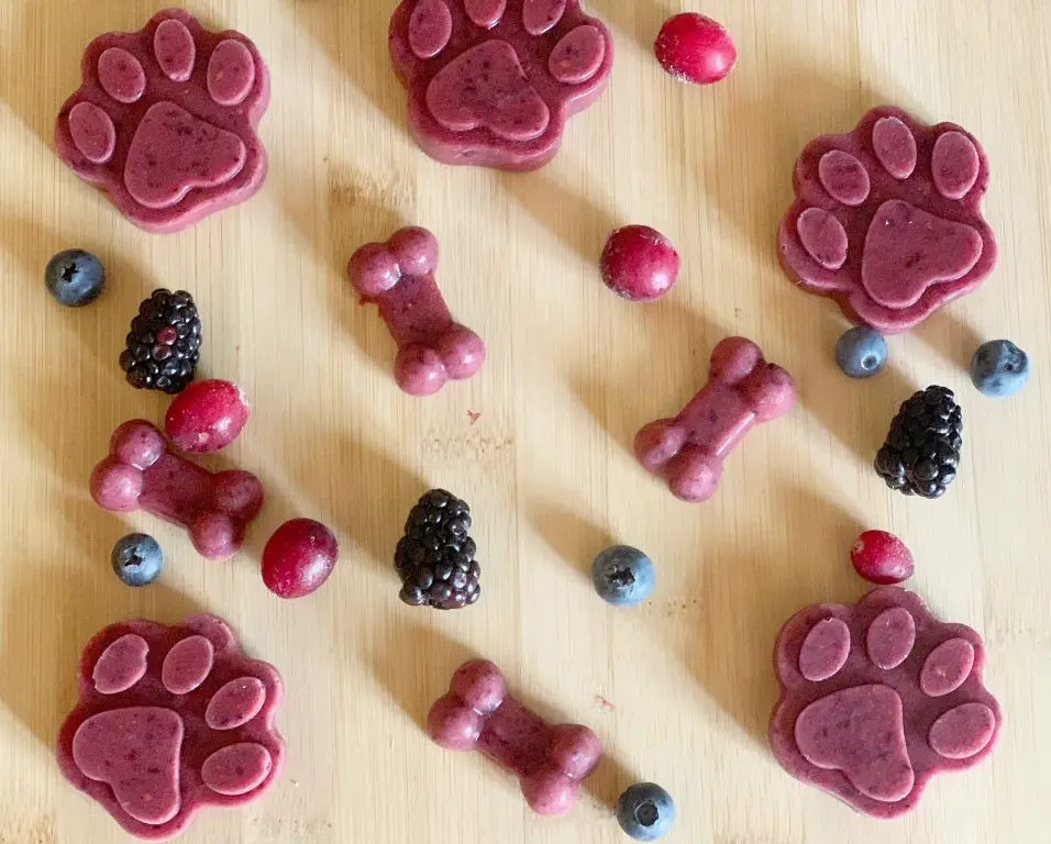 Berry Blast Frozen Dog Treats
