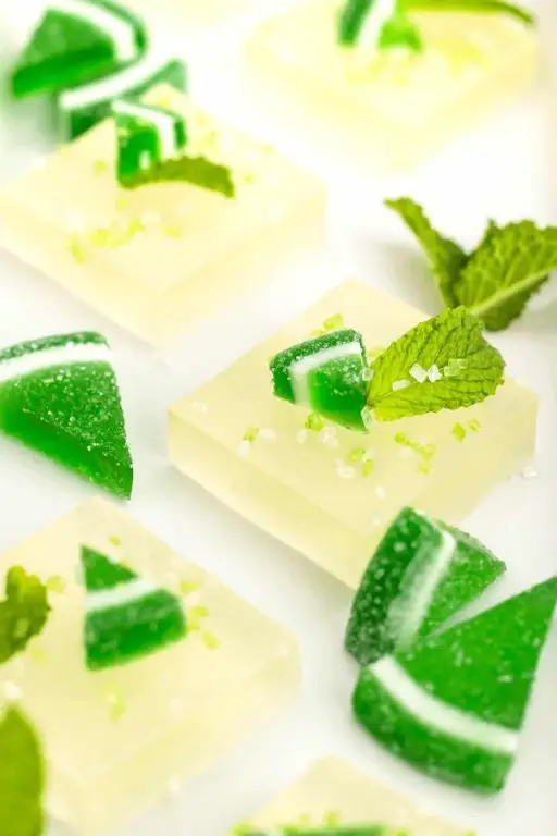 Blackberry Mojito Jello Shots