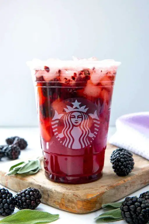 Blackberry Sage Jello Jigglers