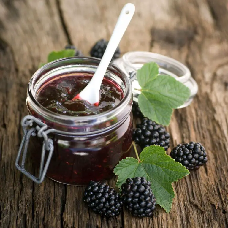 Blackberry and Mint Jam