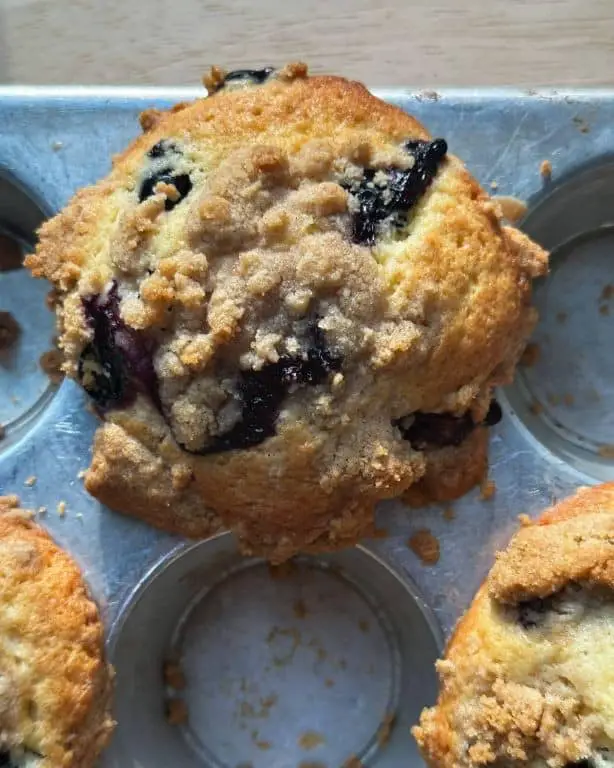 Blueberry Buckle Muffins with Streusel Topping