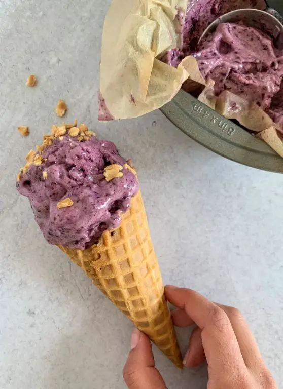 Blueberry Cheesecake Soft Serve