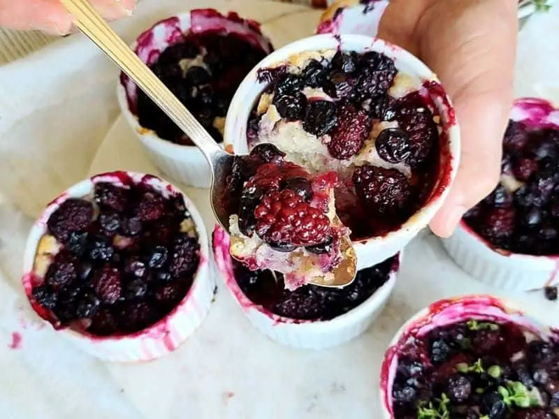 Blueberry Cobbler Mini Dessert Cups