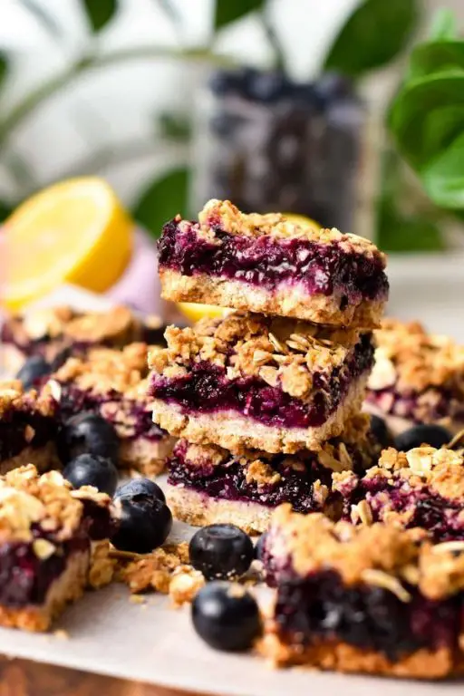 Blueberry Coconut Chia Seed Bars