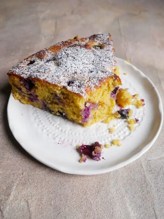 Blueberry Coconut Flour Cake