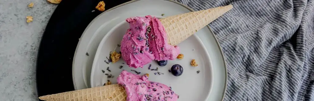 Blueberry Lavender Kefir Cheese