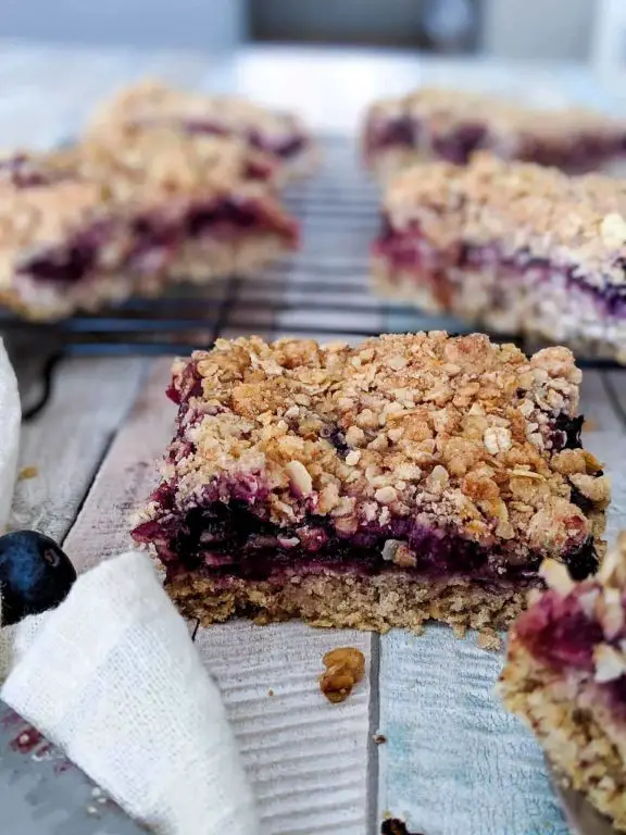 Blueberry Rhubarb Crumb Bars