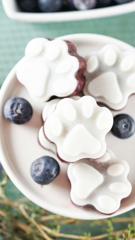 Blueberry Yogurt Frosty Paws