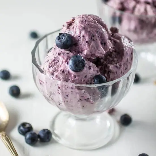 Blueberry Yogurt Health Ice Cream