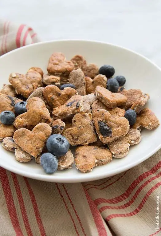 Blueberry and Oat Dog Treats