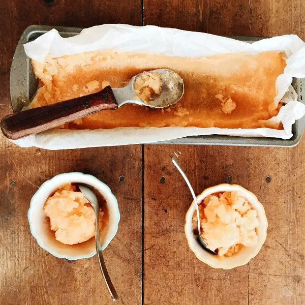 Cantaloupe Honey Italian Ice