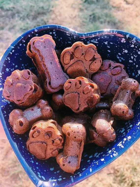 Carob Chip Doggy Brownies