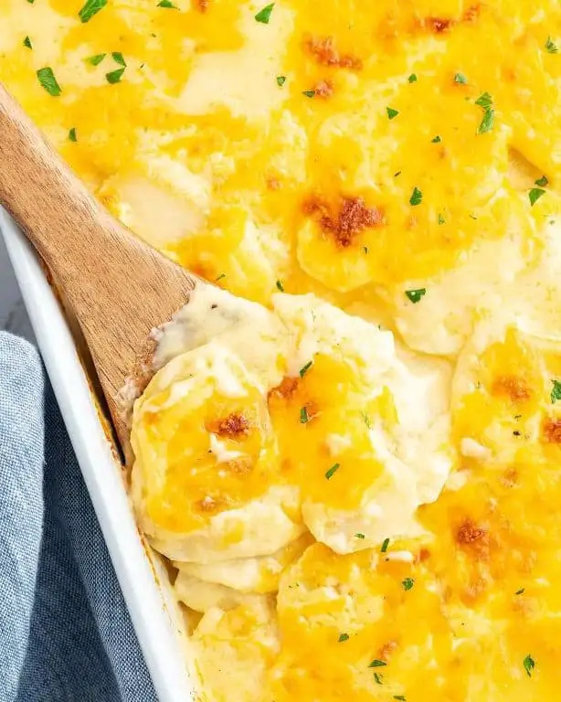 Cheesy Scalloped Potatoes with Herbs