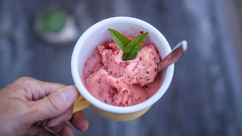 Cherry Plum Sorbet with Mint