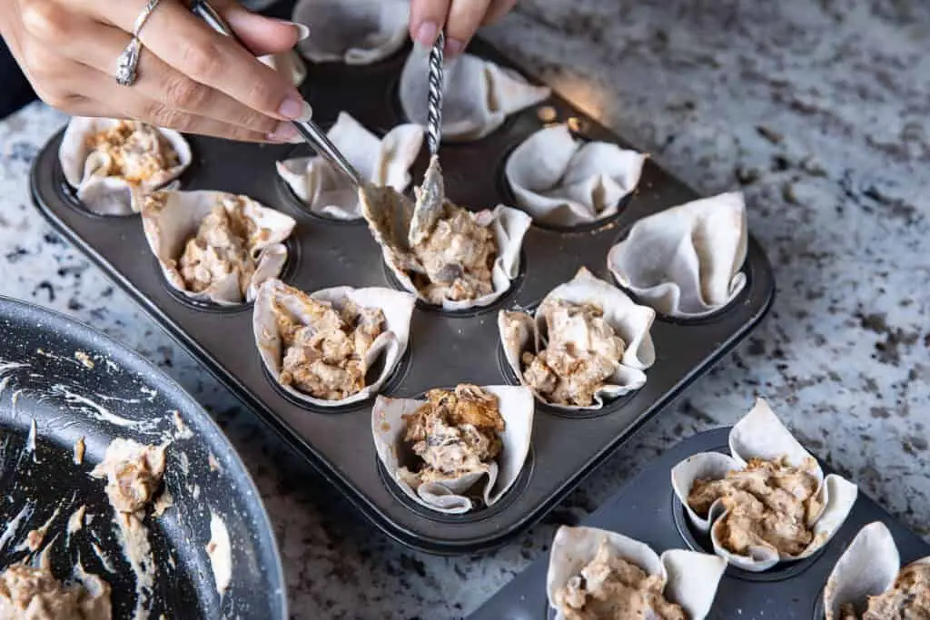 Chicken and Mushroom Wontons