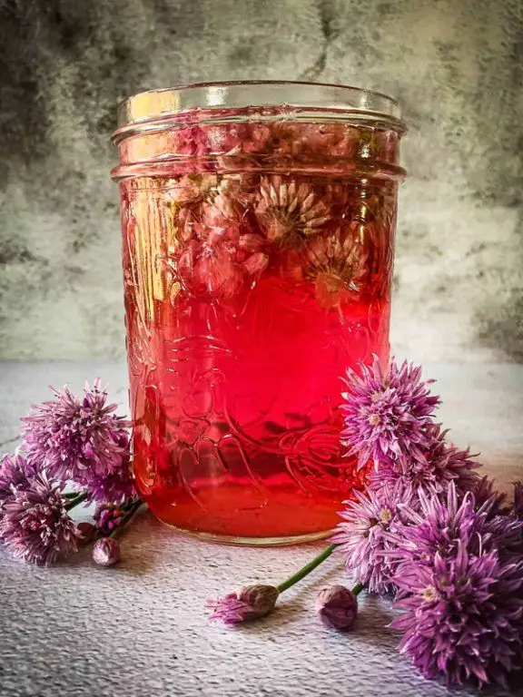 Chive Blossom Vinegar