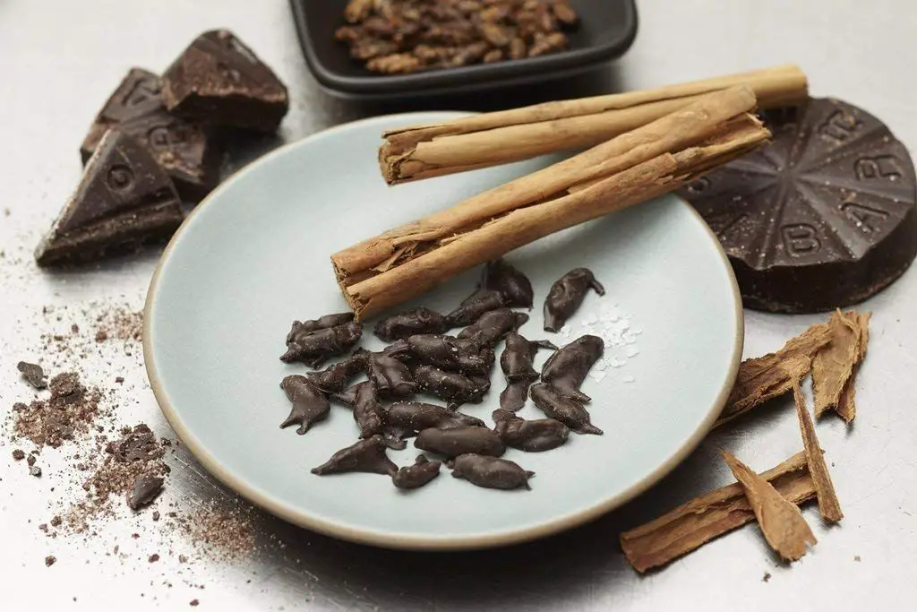 Chocolate Covered Crickets with Sea Salt