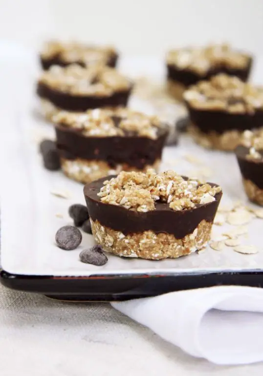Chocolate Oatmeal Fudge Bites