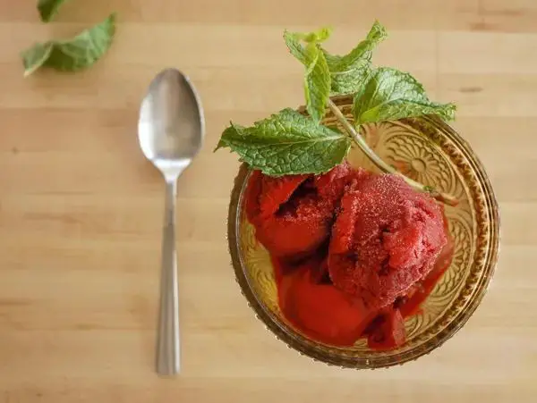 Chokeberry Sorbet with Mint