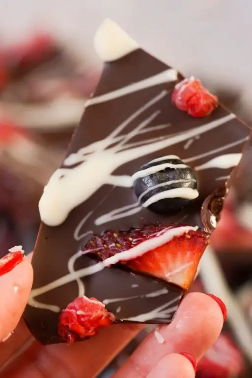 Chokeberry and Dark Chocolate Bark