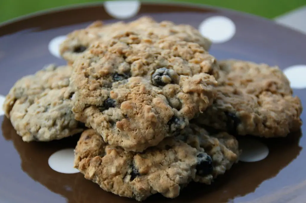 Chokeberry and Oatmeal Cookies