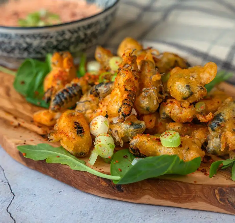 Cicada Fritters with Spicy Aioli