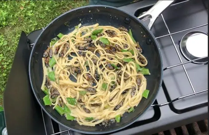 Cicada Pasta with Creamy Alfredo Sauce