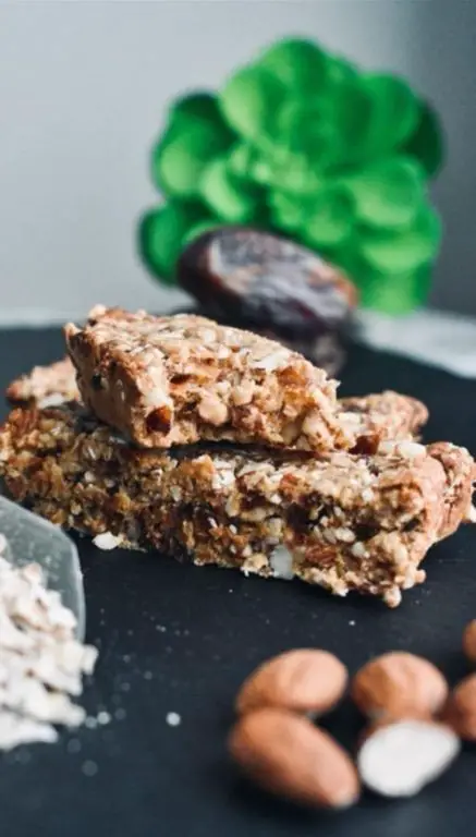 Cicada Protein Bars with Honey and Oats