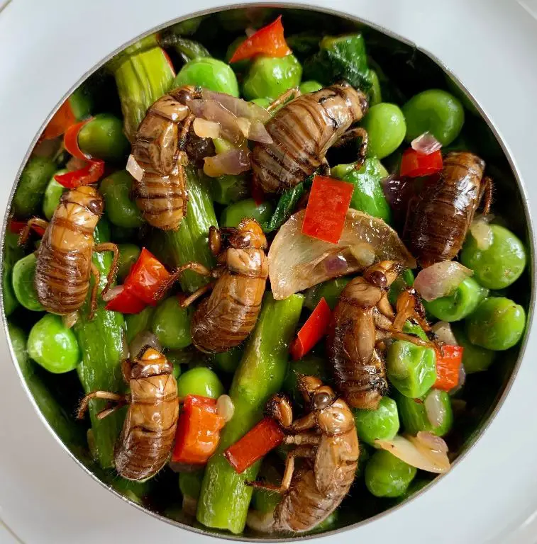 Cicada Stir-Fry with Vegetables