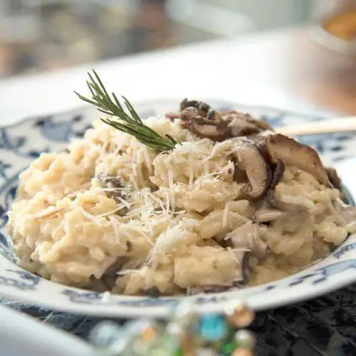 Cicada and Mushroom Risotto