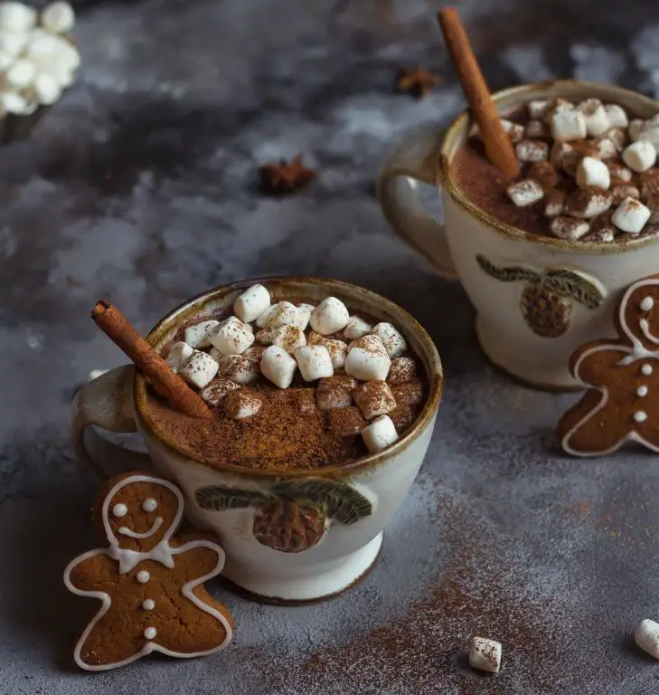 Classic Hot Chocolate with Cocoa Powder